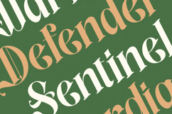 Aleronk - New Classic Blackletter Font Product Image 5