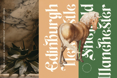 Aleronk - New Classic Blackletter Font Product Image 8