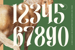 Aleronk - New Classic Blackletter Font Product Image 15