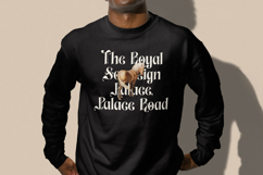 Aleronk - New Classic Blackletter Font Product Image 16