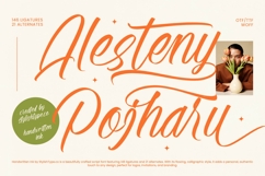 Alesteny Pojharu - Handwritten Ink Font Product Image 1