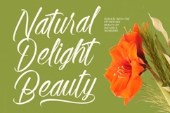 Alesteny Pojharu - Handwritten Ink Font Product Image 14