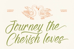 Alesteny Pojharu - Handwritten Ink Font Product Image 15