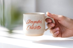 Alesteny Pojharu - Handwritten Ink Font Product Image 16