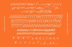 Alesteny Pojharu - Handwritten Ink Font Product Image 19