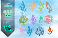 Algae and corals set Product Image 1