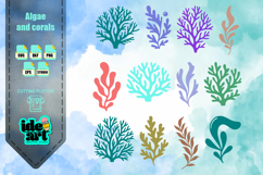 Algae and corals set Product Image 1