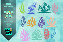 Algae and corals set Product Image 1