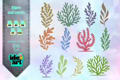 Algae and corals set Product Image 1