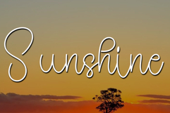 Alice Product Image 2