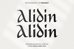 Alidin Modern Medieval Display Product Image 1