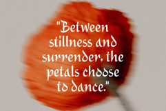 Alidin Modern Medieval Display Product Image 6