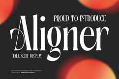 Aligner - Tall Serif Display Product Image 1