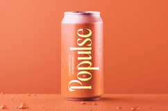 Aligner - Tall Serif Display Product Image 4