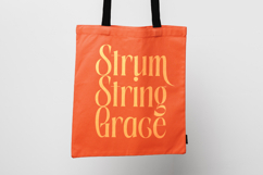 Aligner - Tall Serif Display Product Image 8