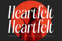 Aligner - Tall Serif Display Product Image 9