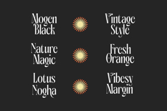 Aligner - Tall Serif Display Product Image 13