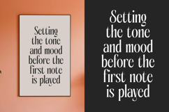 Aligner - Tall Serif Display Product Image 14