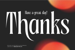 Aligner - Tall Serif Display Product Image 20