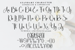 Alignment Product Image 4