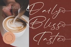 Alister Smitha - Stylish Signature Font Product Image 7