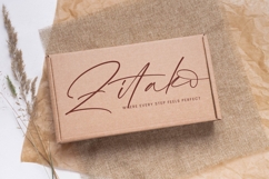 Alister Smitha - Stylish Signature Font Product Image 8