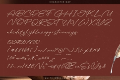 Alister Smitha - Stylish Signature Font Product Image 18
