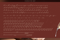 Alister Smitha - Stylish Signature Font Product Image 19