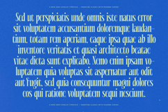 Alkemiogu - A New Serif Display Typeface Product Image 6