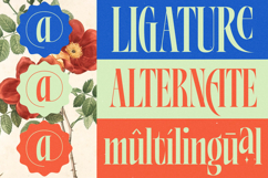 Alkemiogu - A New Serif Display Typeface Product Image 7