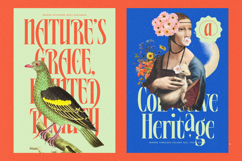 Alkemiogu - A New Serif Display Typeface Product Image 9