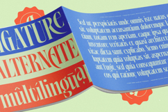 Alkemiogu - A New Serif Display Typeface Product Image 13