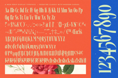 Alkemiogu - A New Serif Display Typeface Product Image 15