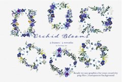 Watercolor Purple &amp; White Orchid Clipart Huge Set Product Image 11