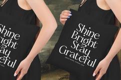 Almoda Karme - Modern Serif Display Product Image 7