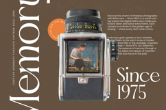 Almoda Karme - Modern Serif Display Product Image 11