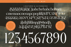 Almoda Karme - Modern Serif Display Product Image 18