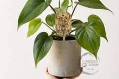 Gothic Plant Stake - Alocasia - SVG PNG Laser Cut - Garden Product Image 4