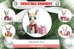 Ornament Alpaca Gift Product Image 1