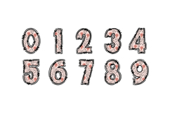 Rose Leopard Print Alphabet PNG Letters Product Image 3