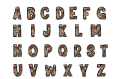 Red Floral Alpha Doodle Letter Set Product Image 2