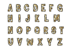 Sunflower Honeycomb Alphabet PNG Product Image 2
