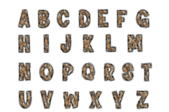 Leopard Floral Alpha Doodle Letter Set Product Image 2