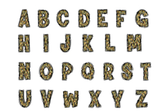 Camo Doodle Alphabet PNG Uppercase Letters A-Z and Numbers 0 Product Image 2
