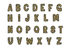 Camo Doodle Alphabet PNG Uppercase Letters A-Z and Numbers 0 Product Image 2