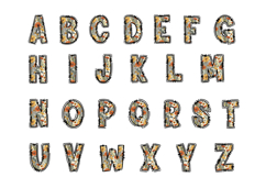 Floral Alphabet PNG, Hand Drawn Doodle Letters Product Image 2