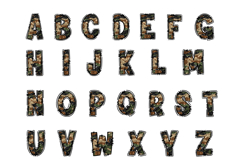 Glitter Camo Alphabet PNG, Sparkle Camouflage Doodle Letters Product Image 2