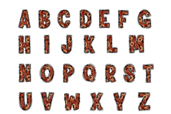 Autumn Floral Doodle Alpha PNG, Sunflower Alphabet Product Image 2