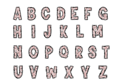 Daisy Alphabet PNG Product Image 2