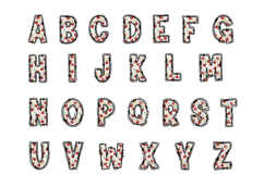 Teacher Alphabet PNG, School Sublimation Doodle Letters Product Image 2
